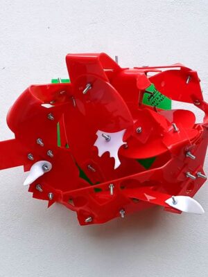 Fruta de la pasión.